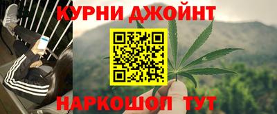 сатива Ставрополь