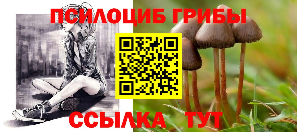 Псилоцибиновые грибы Magic Shrooms Нижний Новгород